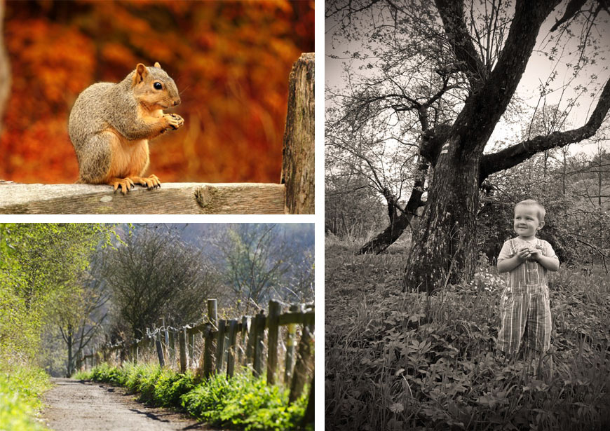 Squirrel, Track and Child