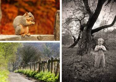Squirrel, Track and Child