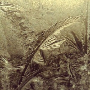 FSF_Butterfly_Ice_Innocence_Last_Krystallos