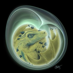 FSF Delicate The Dragon's Egg by Amanda Makepeace