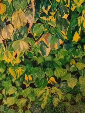 Ivy Leaves - Abi Burlingham