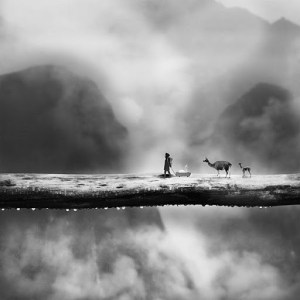 Photo Source