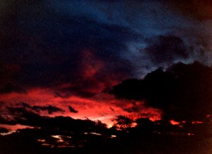 © Lisa Shambrook