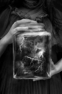 Photo Source Lisa Falzon