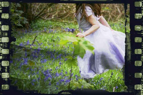 beneath the rainbow, lisa shambrook, bluebells, the last krystallos,
