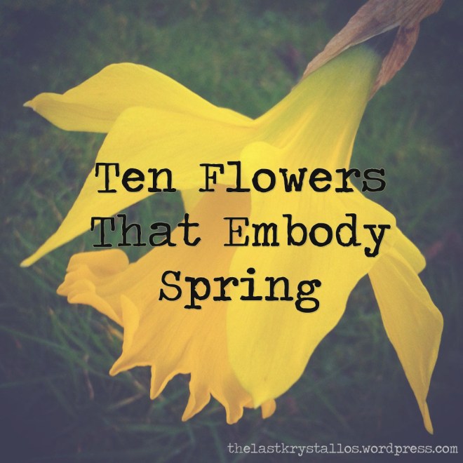 ten flowers that embody spring, spring flowers, spring, flowers, the last krystallos,
