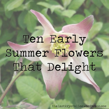 ten-early-summer-flowers-that-delight