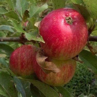 Discover discoveries... © Lisa Shambrook