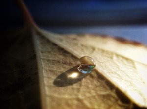 Photo by Matt Adamik