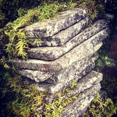 silence-moss-stone-the-last-krystallos