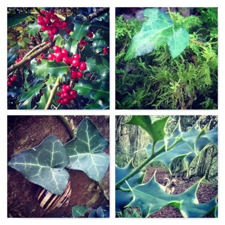 holly and ivy, the holly and the ivy, Ten Winter Wonders of Nature, the last krystallos,
