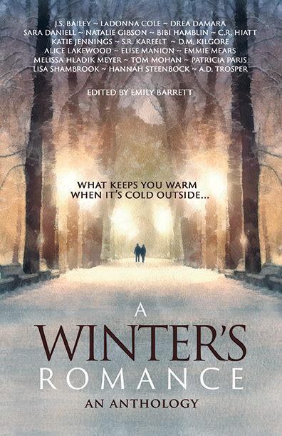 A Winter's Tale an Anthology - Winter Romance - BHC Press