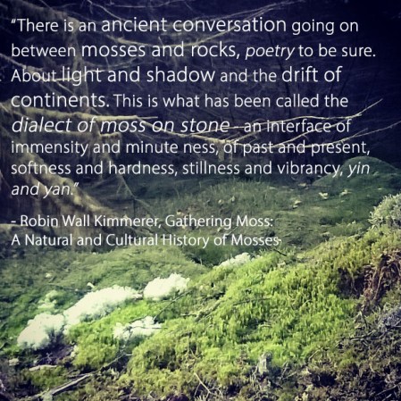 Ancient conversation moses and rocks - Robin Wall Kimmerer - Gathering Moss | The Last Krystallos