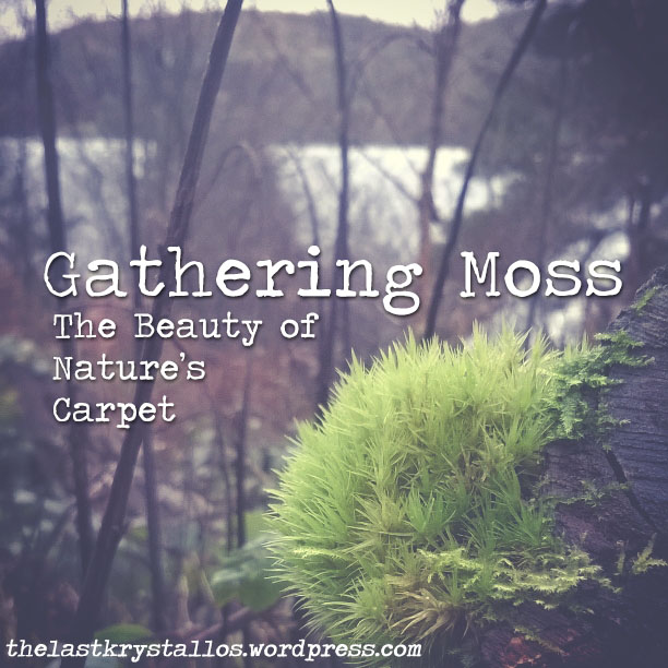 Gathering Moss - The Last Krystallos