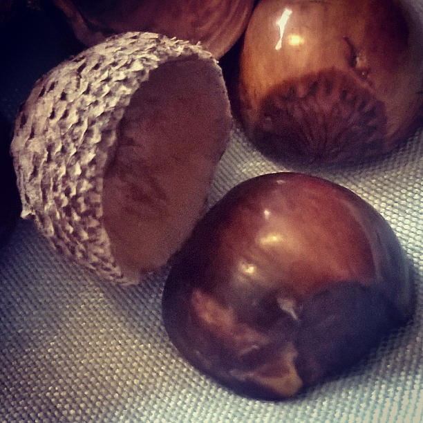 talisman, totem and stim - acorn cups and hazelnuts - The Last Krystallos