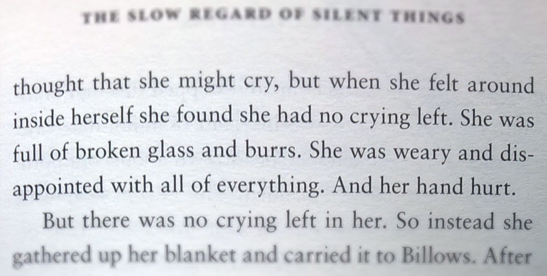 the-slow-regard-of-silent-thing-self-harm-the-last-krystallos