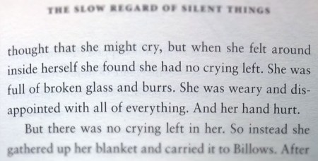 the-slow-regard-of-silent-thing-self-harm-the-last-krystallos