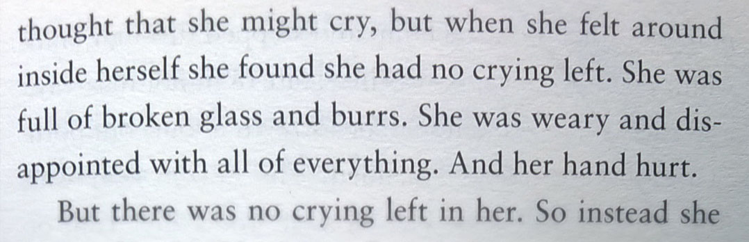 broken-glass-burrs-snippet-the-slow-regard-of-silent-things-patrick-rothfuss-the-last-krystallos-review-crop