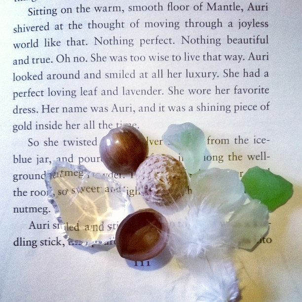 oerfect-leaf-treasures-snippet-the-slow-regard-of-silent-things-patrick-rothfuss-the-last-krystallos-review