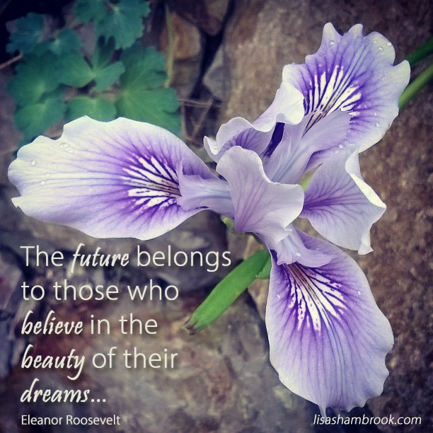 the-future-belongs-to-those-who-believe-in-the-beauty-of-their-dreams-eleanor-roosevelt-lisa-shambrook