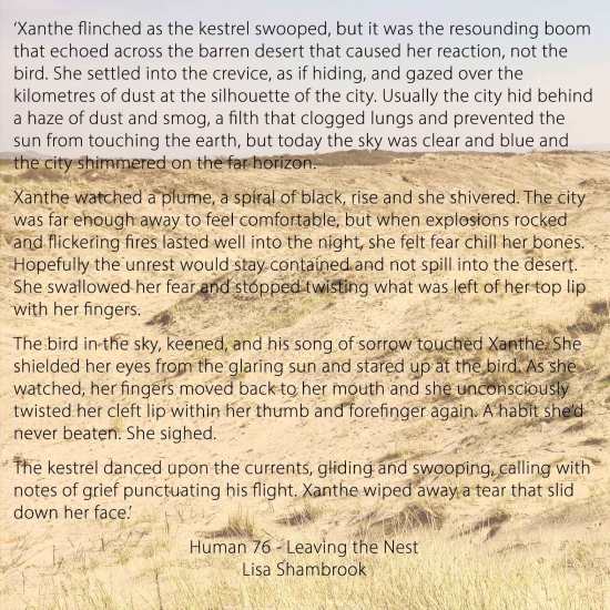 Snippet of 'Leaving the Nest' by Lisa Shambrook - Human 76