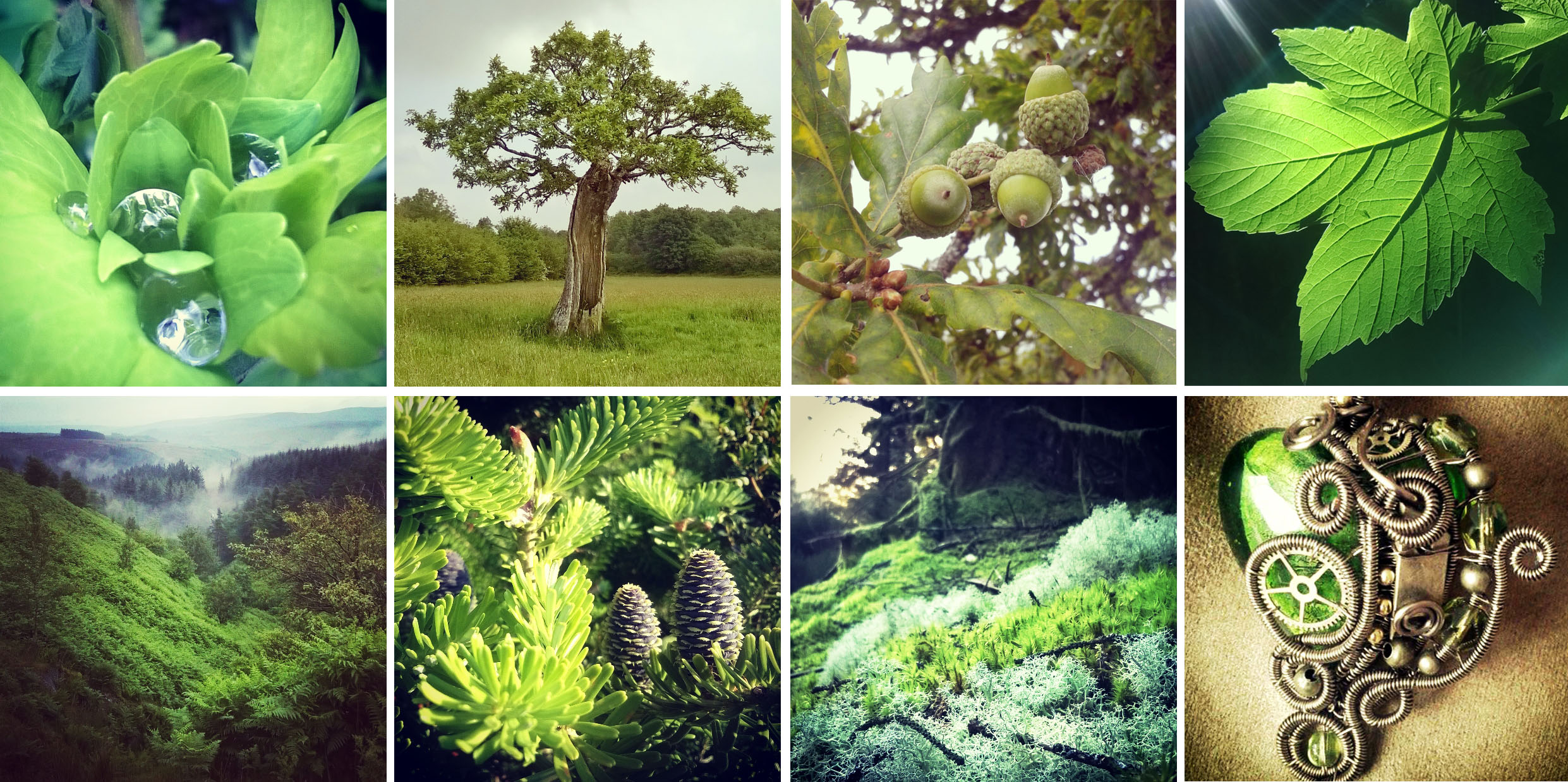 Green, like her willow… and columbine leaves, oaks, acorns and more spring leaves, and valleys, and firs, moss, and jewels…