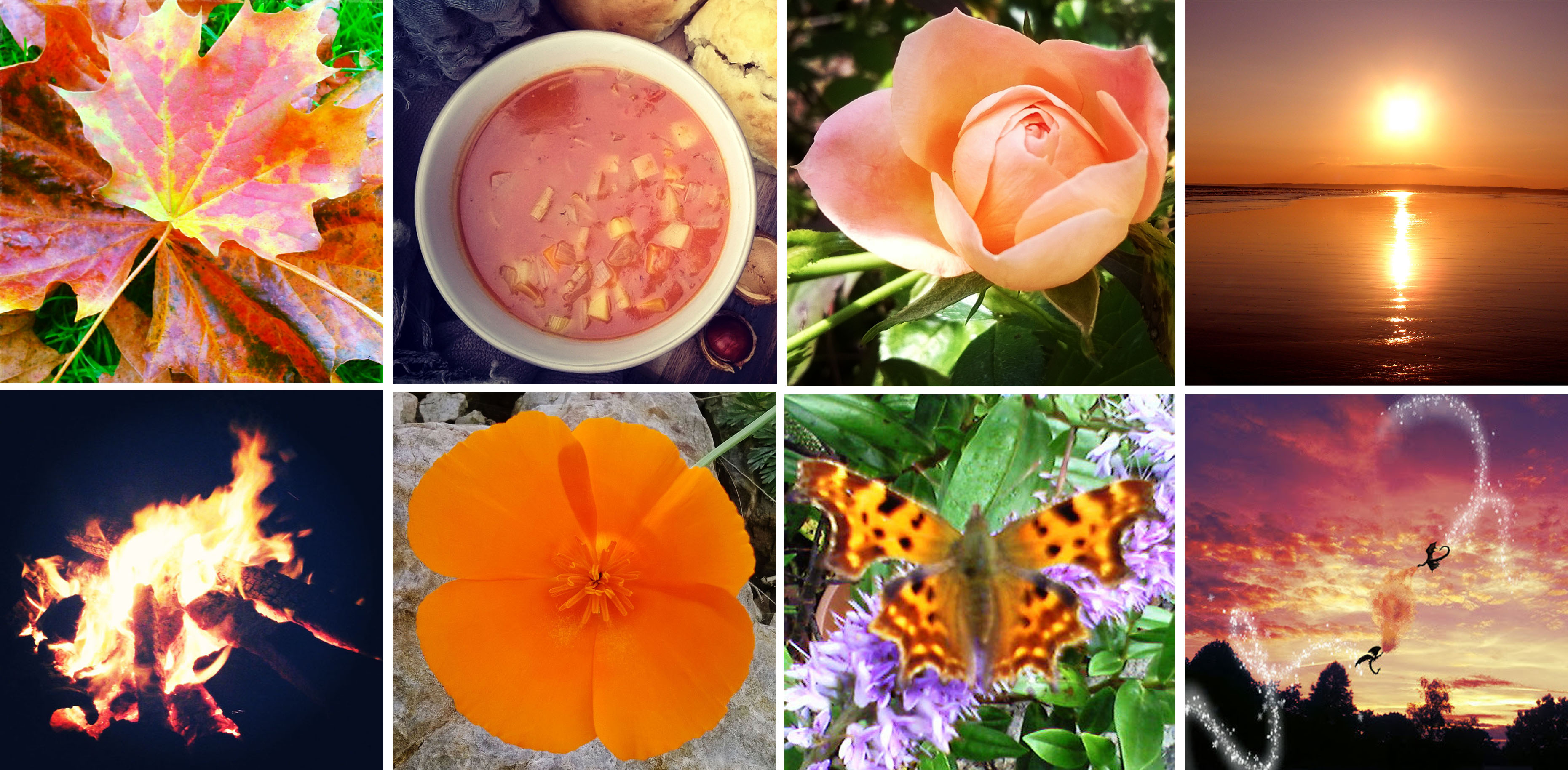 Sunset Orange… and autumn leaves, and winter soup, roses, and beach sunsets, and fire, Californian poppies, and comma butterflies, and dragon-filled skies…
