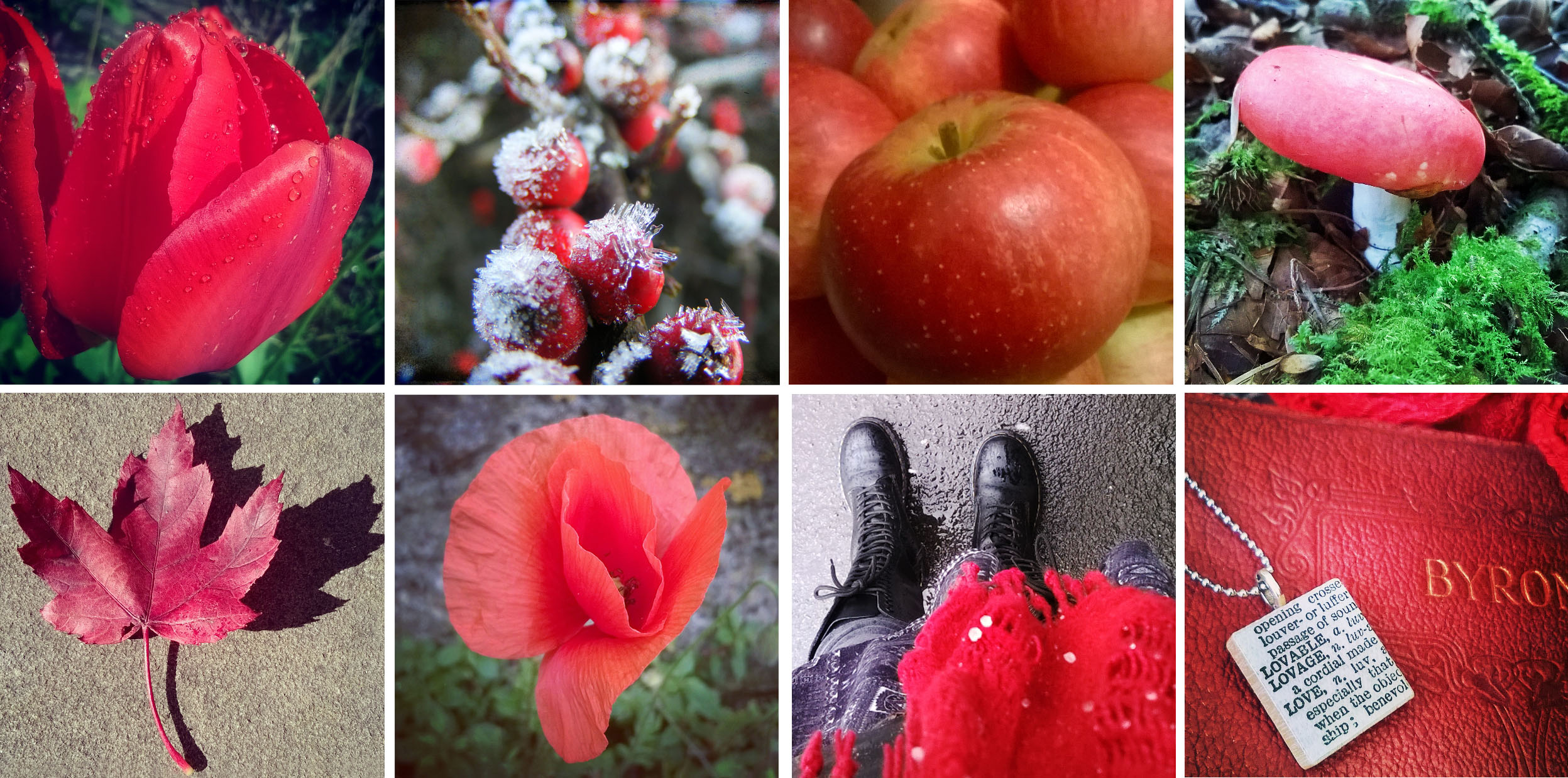Scarlet like remembrance poppies… and tulips, and berries, apples, and toadstools, and leaves, poppies, scarves, and books…
