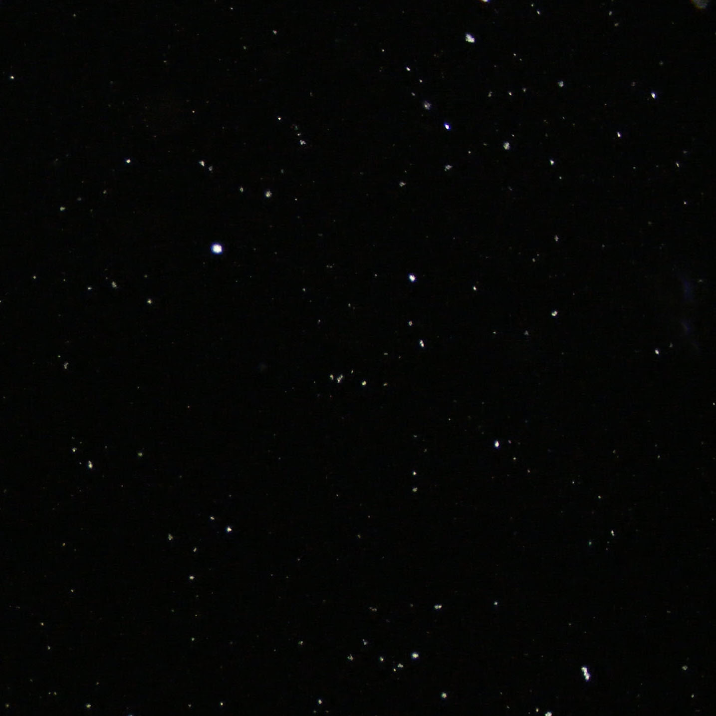 beneath-night-stars-the-last-krystallos