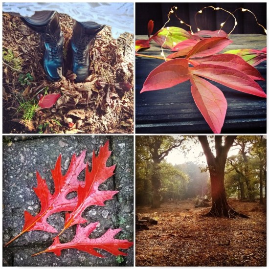 falling-leaves-the-last-krystallos