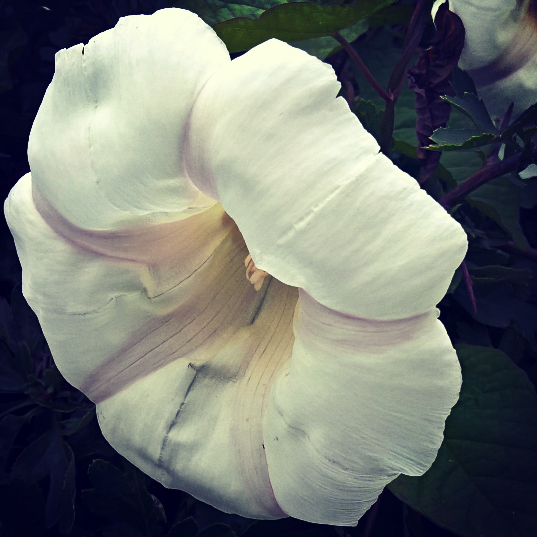 mindfulness-meditation-how-to-keep-calm-and-carry-on-the-last-krystallos