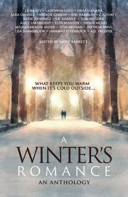 12-a-winters-romance-bhc-press