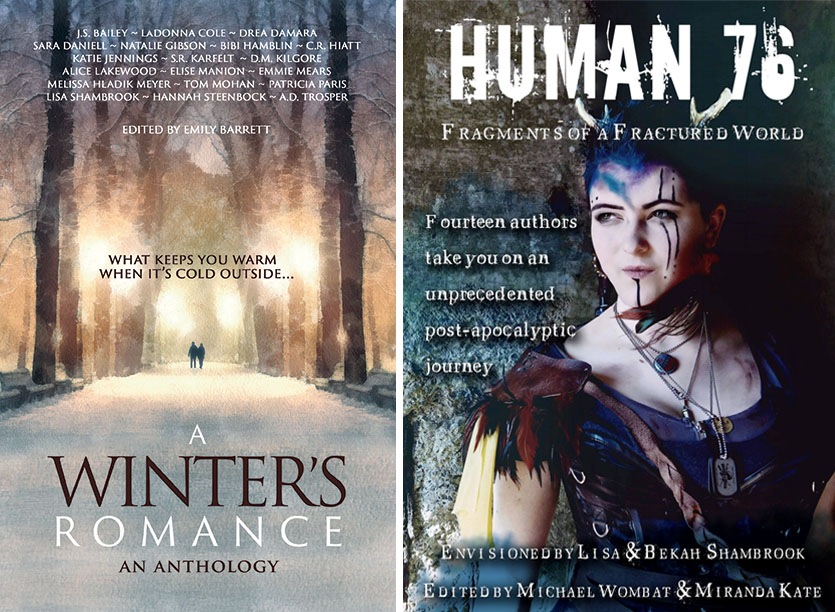 a-winters-romance-and-human-76-christmas-book-blast-the-last-krystallos-lisa-shambrook