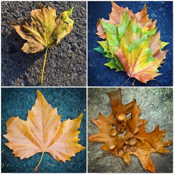 bronze-autumn-leaves-the-last-krystallos