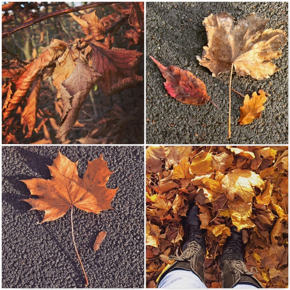 bronze-crunchy-autumn-leaves-the-last-krystallos