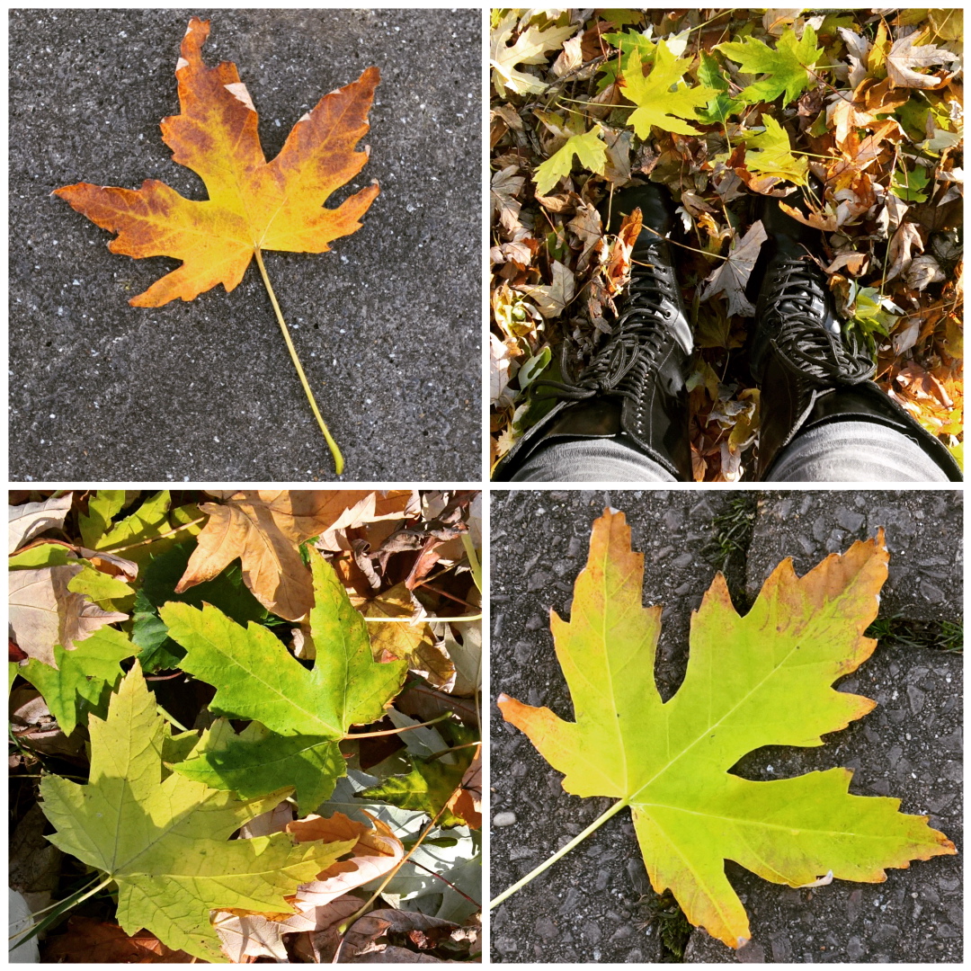 green-yellow-autumn-leaves-the-last-krystallos