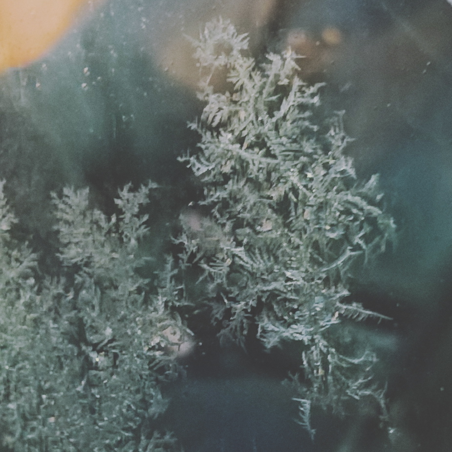 frosted-ice-the-last-krystallos