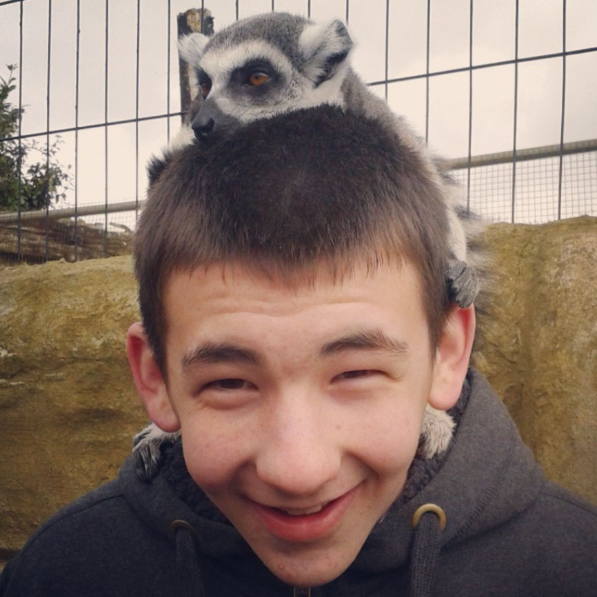 17-2013-amazon-zoo-dan-lemur-instagram-april-2013