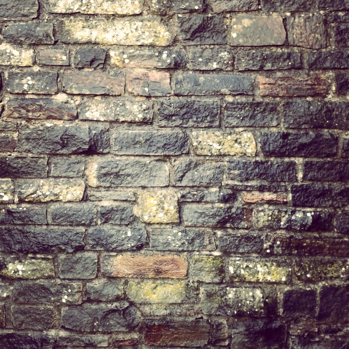 brick-wall-thelastkrystallos-lisa-shambrook