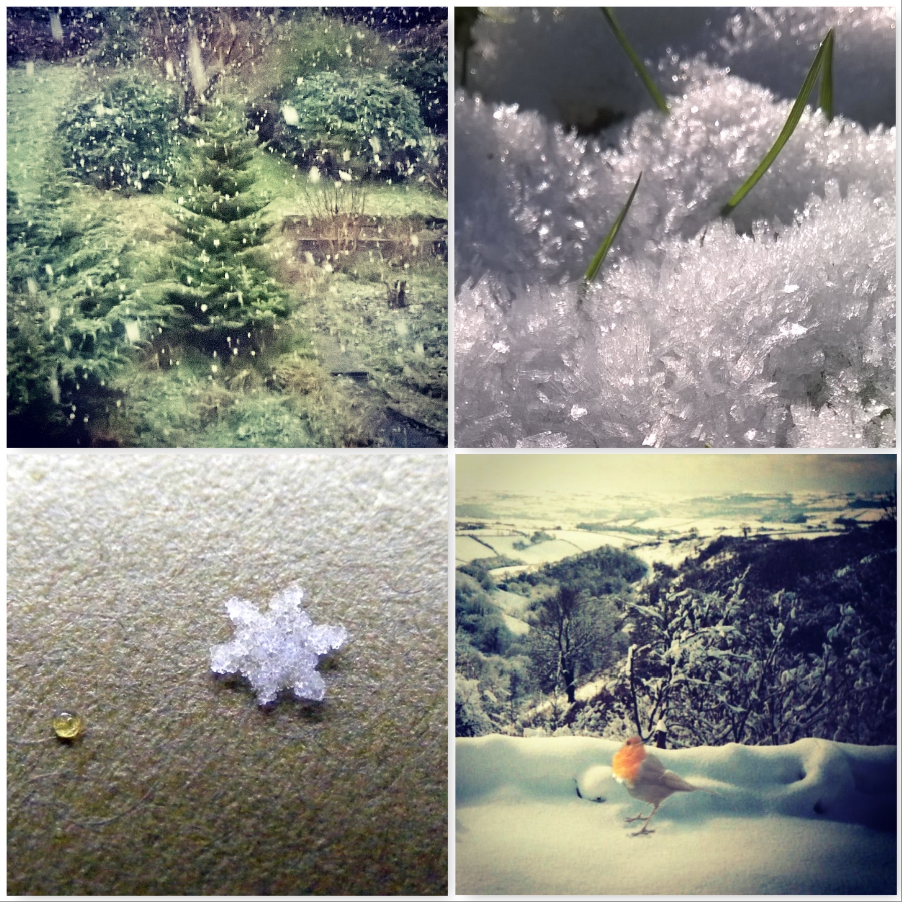 winter-snow-the-best-bits-of-winter-the-last-krystallos