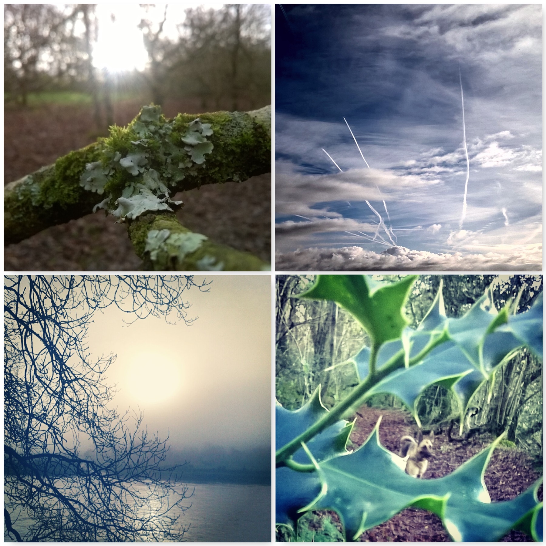 woodland-walks-and-winter-landscapes-the-best-bits-of-winter-the-last-krystallos