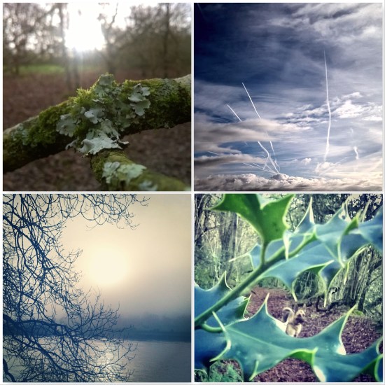 woodland-walks-and-winter-landscapes-the-best-bits-of-winter-the-last-krystallos