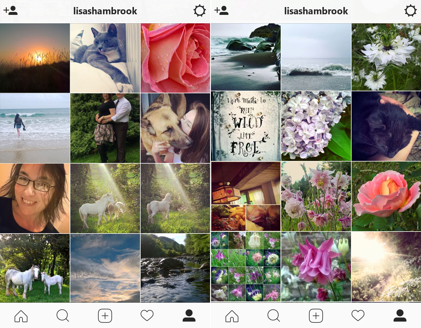 instagram-summer-lisa-shambrook-the-last-krystallos