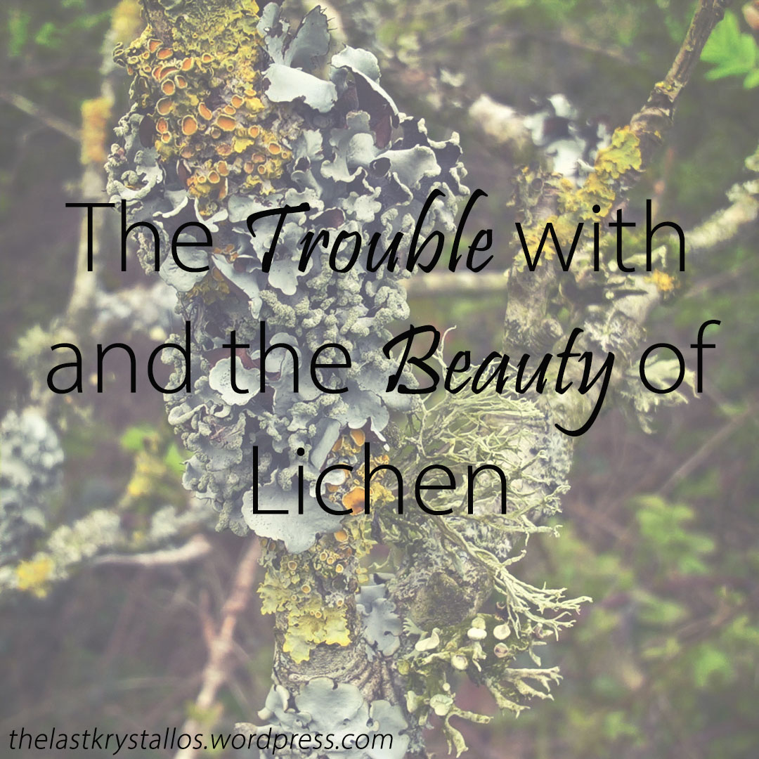 The-Trouble-with-and-the-Beauty-of-Lichen-The-Last-Krystallos