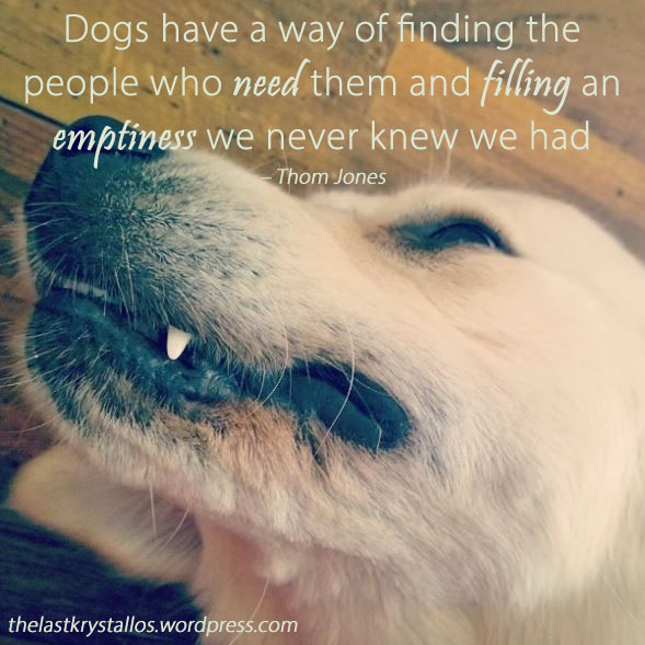 Dogs have a way of finding people who need them - Thom Jones - The Last Krystallos