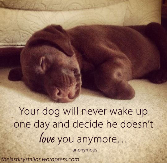 Your dog will never wake up one day and decide he doesn_t love you anymore… anonymous - The Last Krystallos