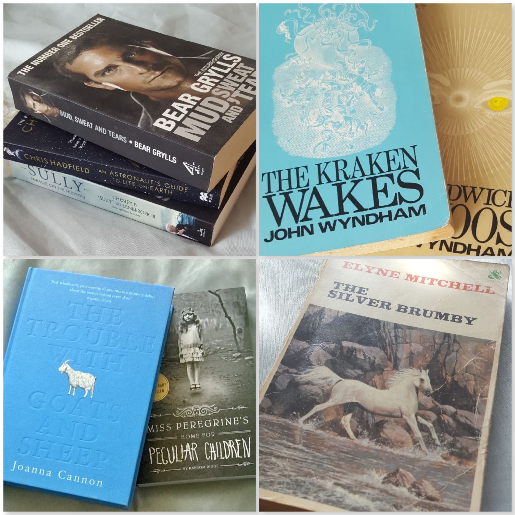 Autobiography-sci-fi-contemporary-children--genres-you-love-the-last-krystallos