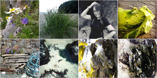 Flora-and-Seaweed-The-Last-Krystallos