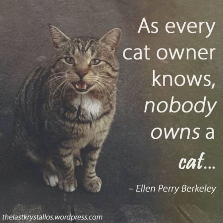 As every cat owner knows, nobody owns a cat - Ellen Perry Berkeley - The Last Krystallos - Photo Bekah Shambrook