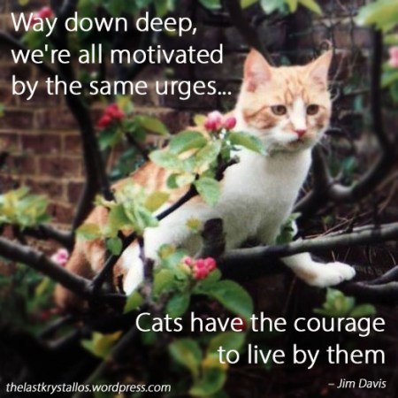 Cats have the courage to live them - Jim Davis - The Last Krystallos
